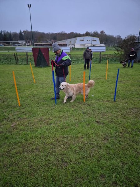 Entente Cynophile de Mouroux - photo 1