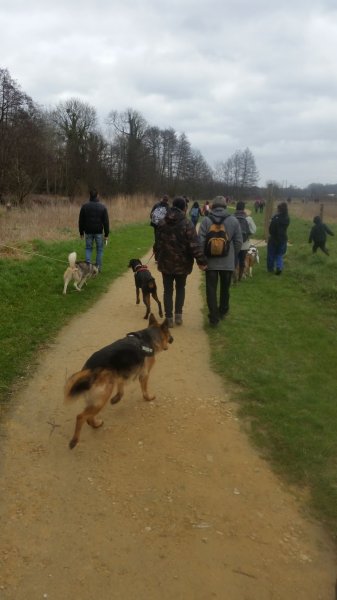 Canin tout plein - photo 2