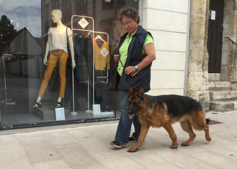 Coach Educ'Savoir Canin - photo 3