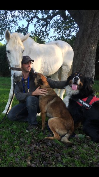 MCI Obéissance Dog - photo 2