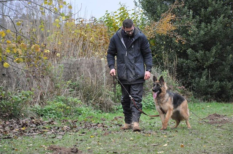 Alexandre Roche éducateur canin - photo 1