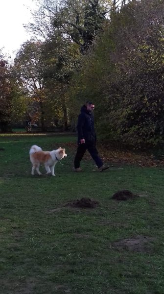 Alexandre Roche éducateur canin - photo 2