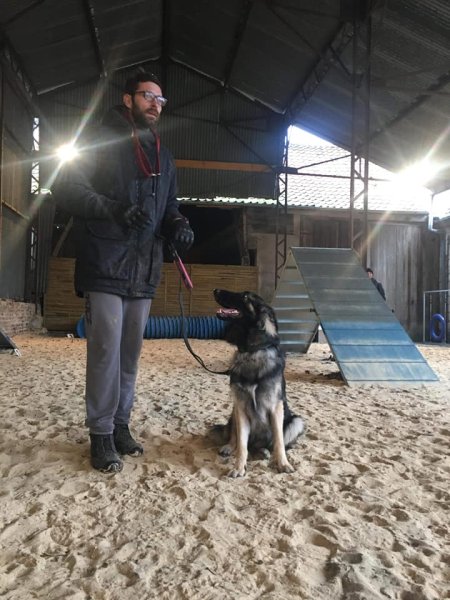 Alexandre Roche éducateur canin - photo 3
