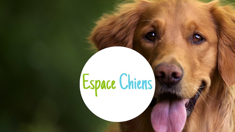 SARL ESPACE CHIENS - photo 1