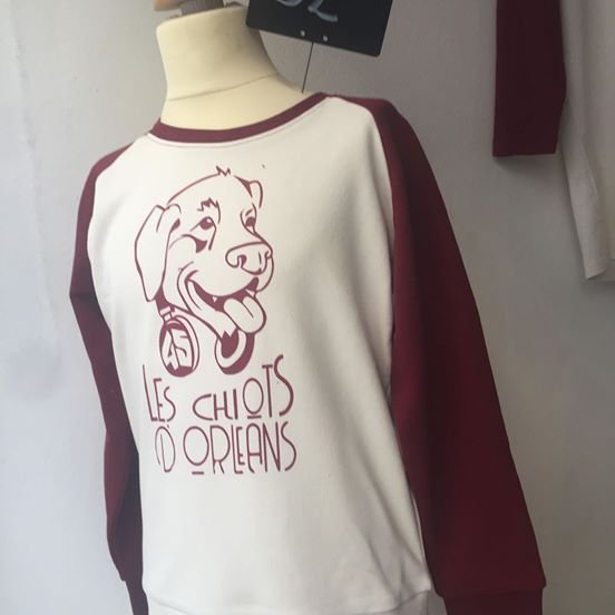 Les chiens d'Orléans - photo 2