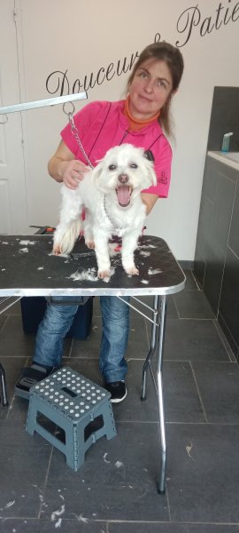 Sandydalmachiens - Dubrulle Sandy - photo 3