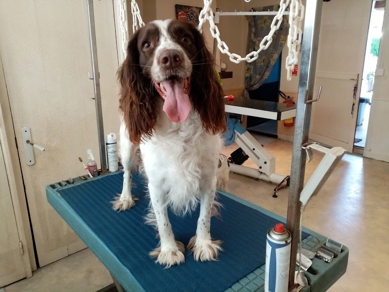 Au Ferté Chien - photo 1