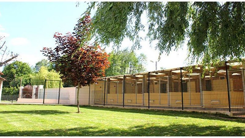 Felidog Sarl - photo 1