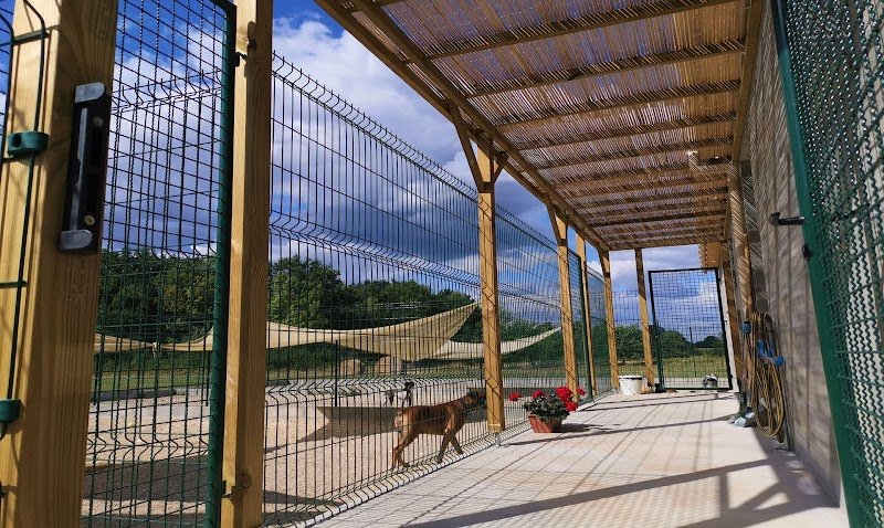 Felidog Sarl - photo 2