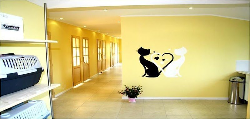 Felidog Sarl - photo 3