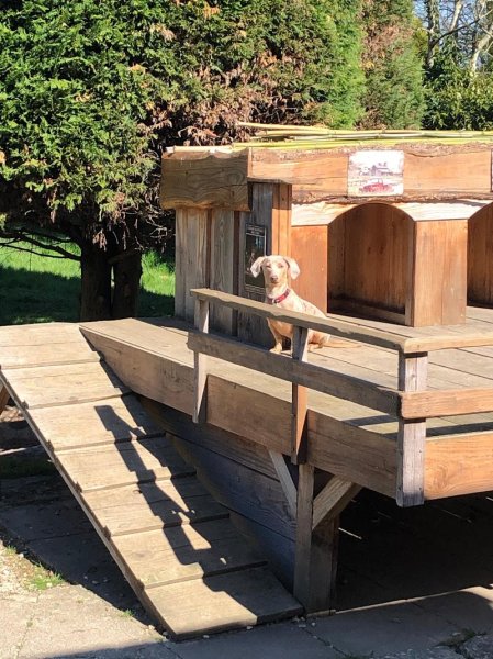 Dog's Club Vacances - photo 1