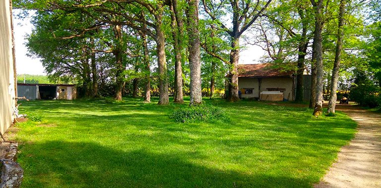 Dogs "R" Zen - photo 3