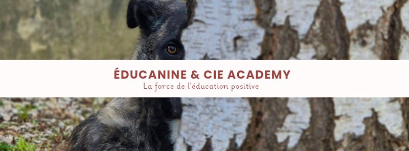 Éducanine & Cie Academy - photo 1