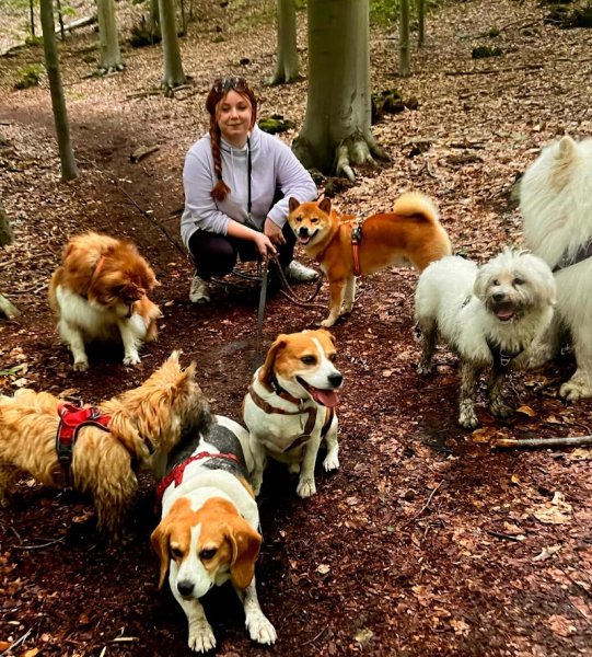 Éducanine & Cie Academy - photo 3