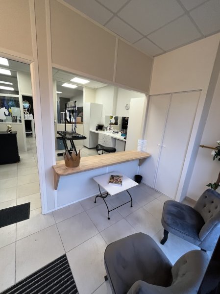 Dog’s Luxury - photo 3