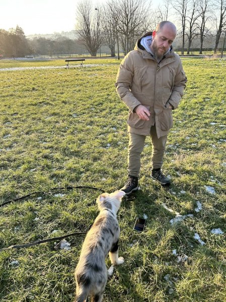 La Voie du Chien - Educateur canin comportementaliste