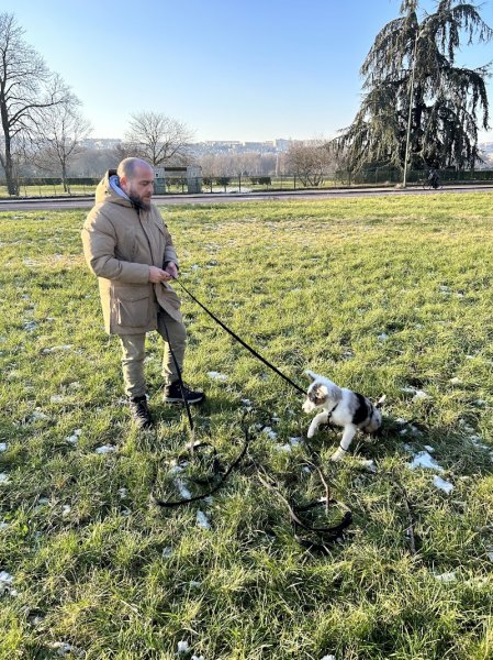 La Voie du Chien - Educateur canin comportementaliste - photo 3