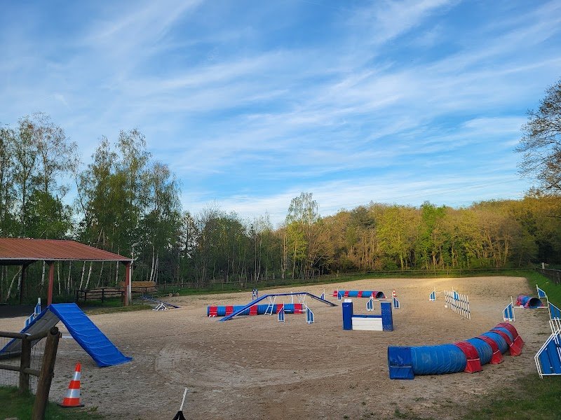 Oolirage Sports Canins - photo 1