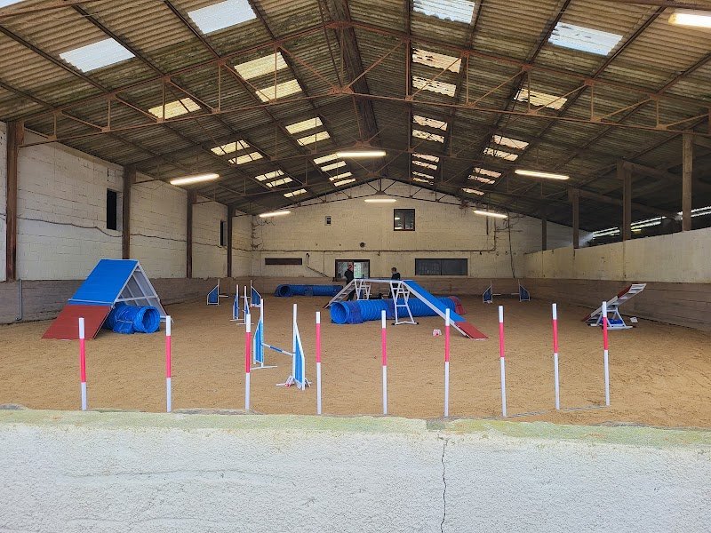 Oolirage Sports Canins - photo 2