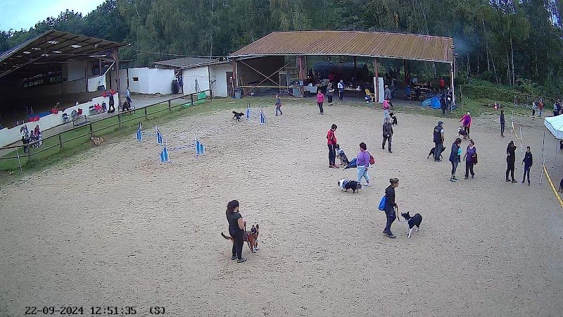 Oolirage Sports Canins - photo 3