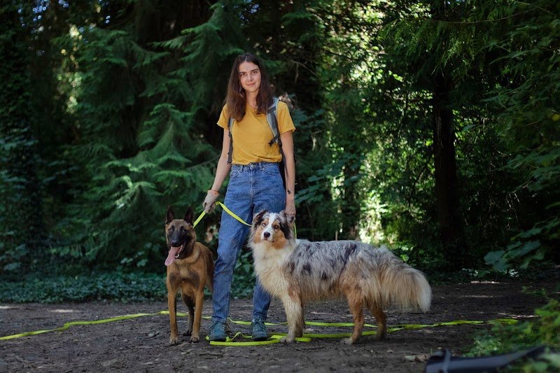 Canis Familiaris - éducation canine - photo 1