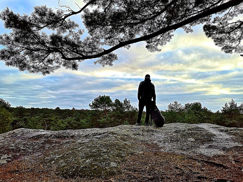 Hadès Éducation – Éducateur comportementaliste canin - photo 3