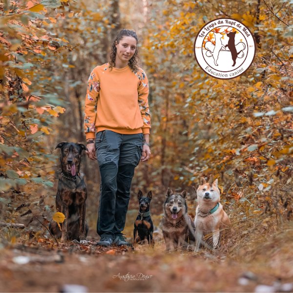 Les Loups du Rupt de Mad, éducateur canin comportementaliste chiens réactifs Metz, Jarny, Pont à Mousson