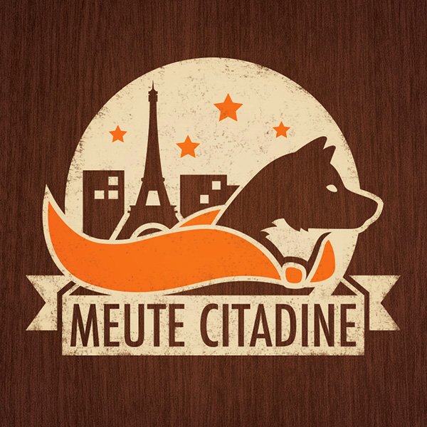 Meute citadine éducateur/comportementaliste canin - photo 2