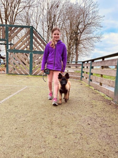 Association cani dog's - photo 3