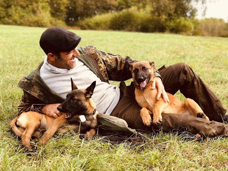 Aux chiens - Educateur canin Ajaccio - photo 2