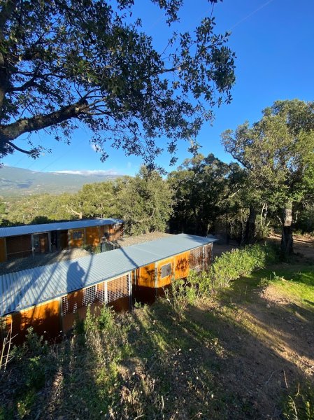 Calli-Canin - photo 3