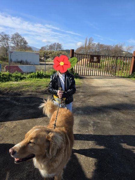 Déclic Canin - photo 2