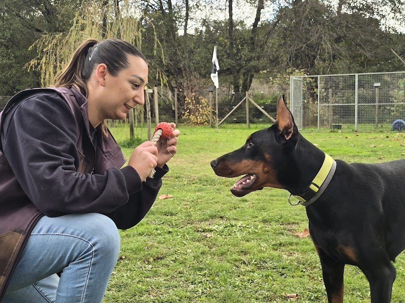 Déclic Canin - photo 3