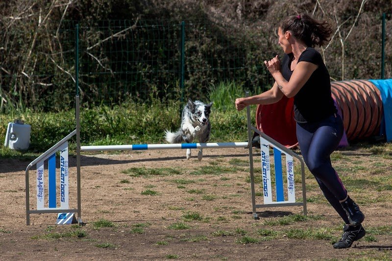 Club Canin Athleti’Dogs - photo 1