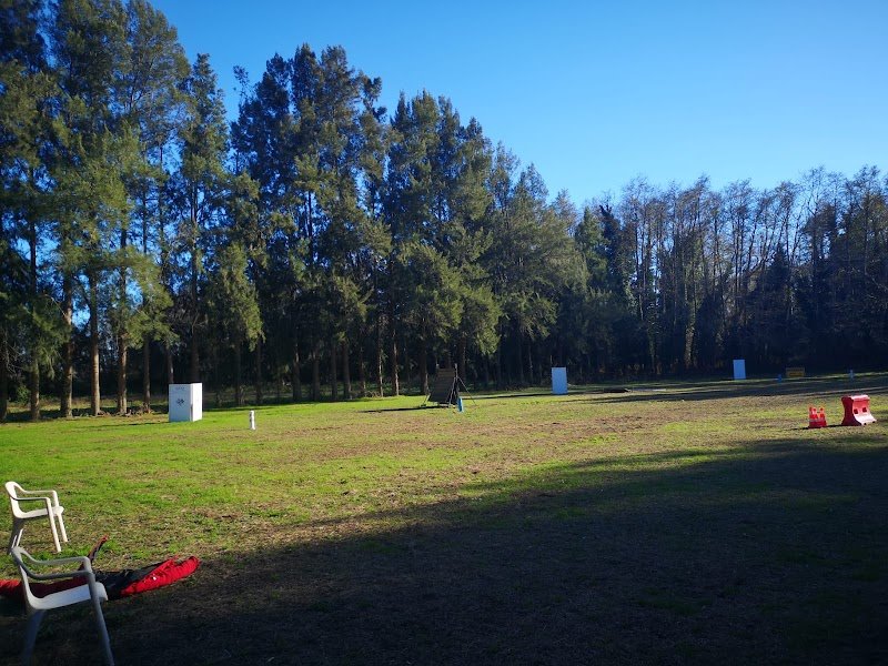 Club d'Education Canine de la Haute-Corse - photo 1