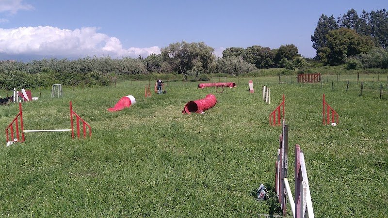 Club d'Education Canine de la Haute-Corse - photo 2