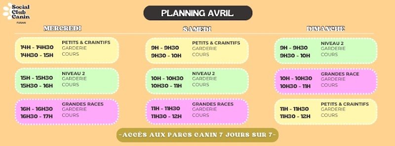 Social Club Canin Furiani