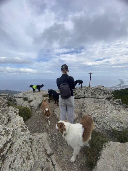 Social Club Canin Furiani - photo 3