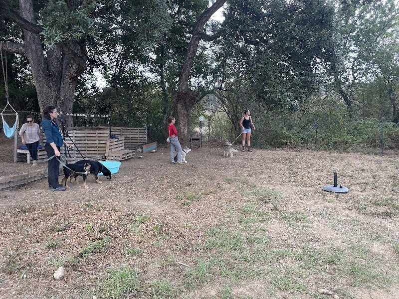 Centre Canin 2b - Club Canin Santa Lucia Di Moriani - photo 2