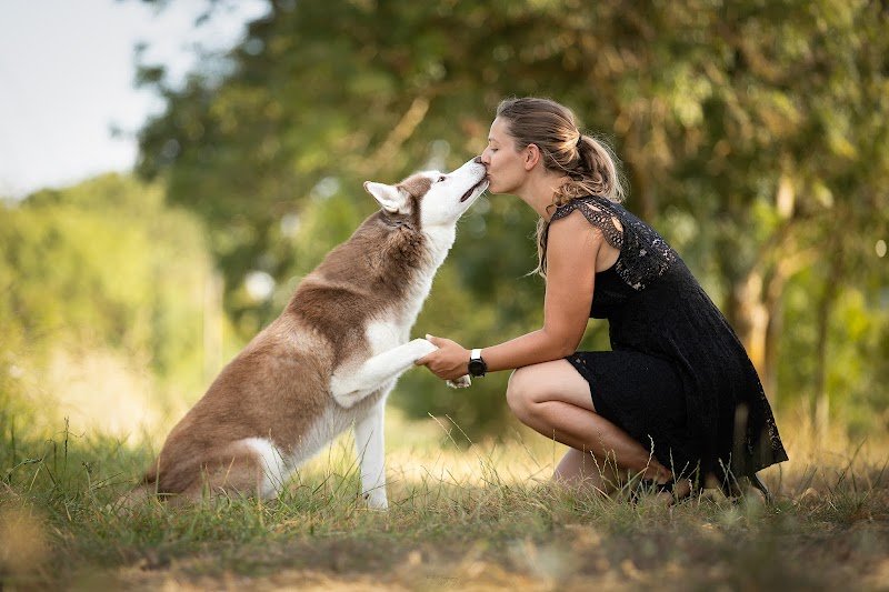O'Cani - Éducateur comportementaliste canin - photo 3