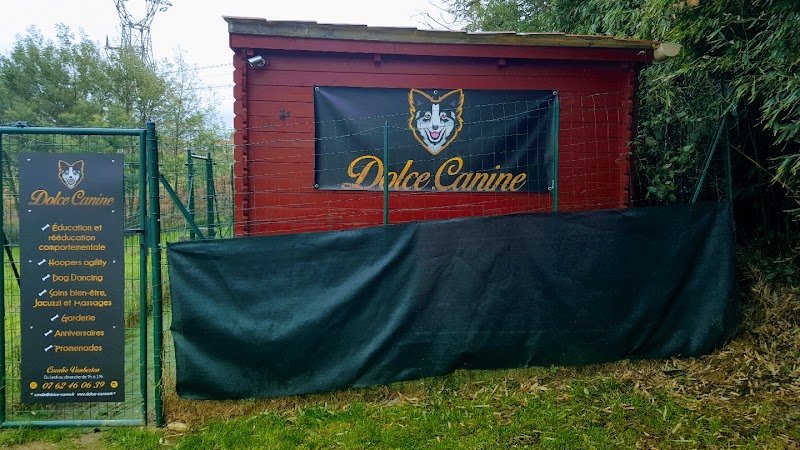 Dolce Canine - dresseur de chiens Pays basque - photo 1