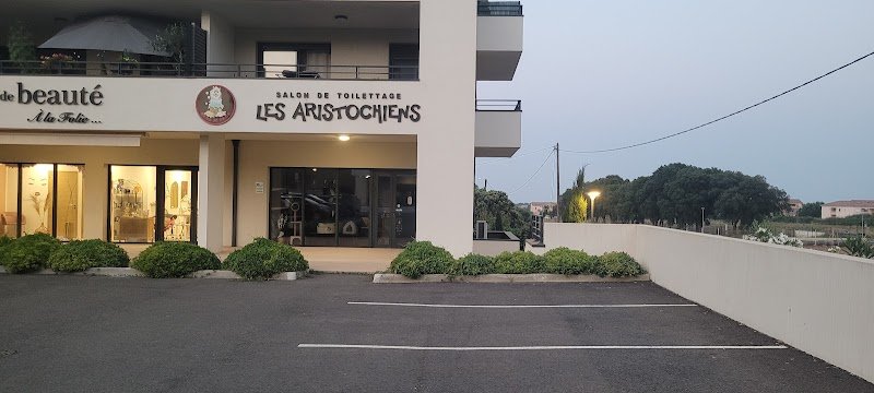 Les Aristochiens - photo 1