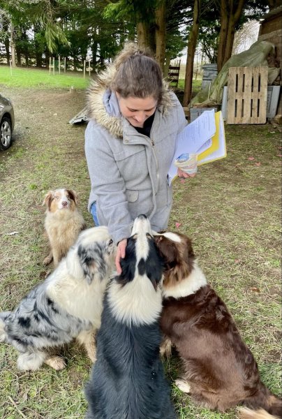 Ness educ_ educatrice comportementaliste