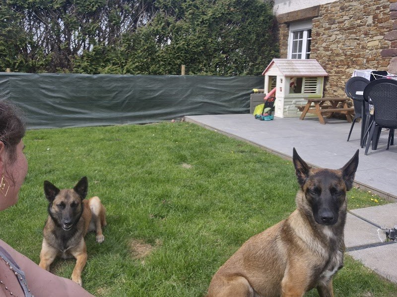 Ness educ_ educatrice comportementaliste - photo 3