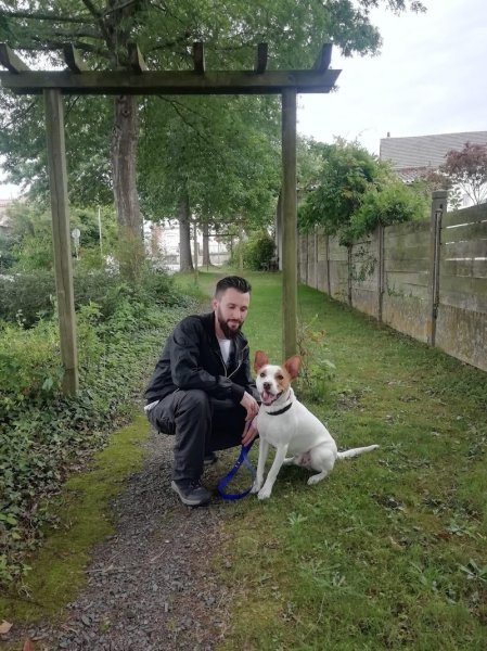 A-croc canin - Educateur Comportementaliste à domicile