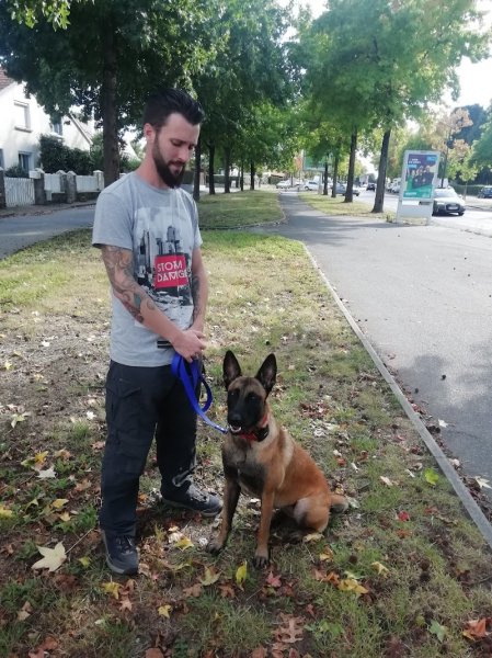 A-croc canin - Educateur Comportementaliste à domicile - photo 3