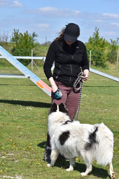 Canis Lupus - Education et Sports Canins - photo 3