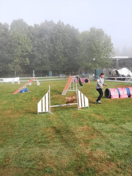 Club Canin - photo 2