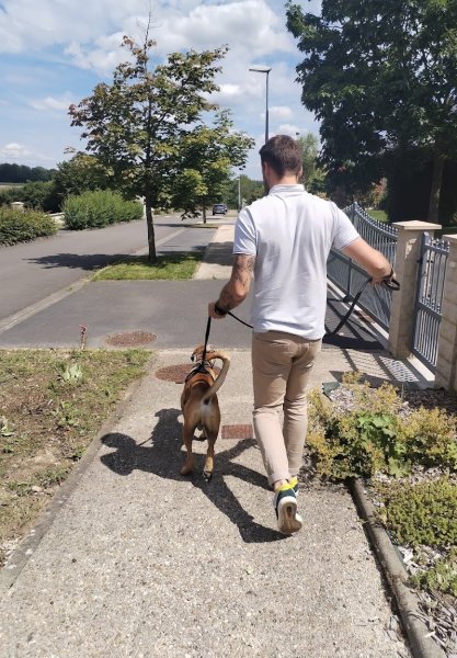 Megane Singery - Comportementaliste Animalier & Éducation Canine Ardennes (08)