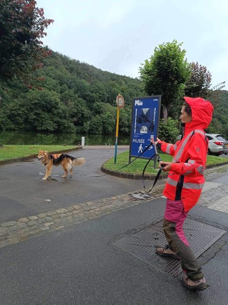 Le Chien Botté : Chiens de recherche